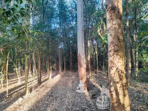 Venta de terreno en Venta en Villa Ruiz, San Andres De Giles