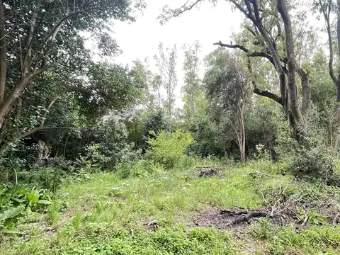 Campo en Venta en Villa Ruiz, San Andres De Giles