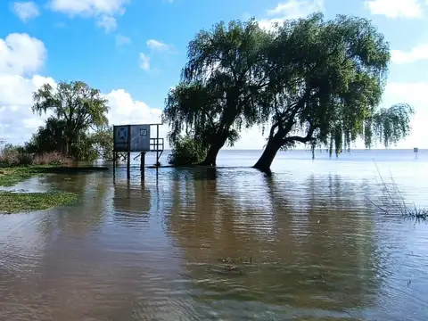 Montevideo  - Berisso