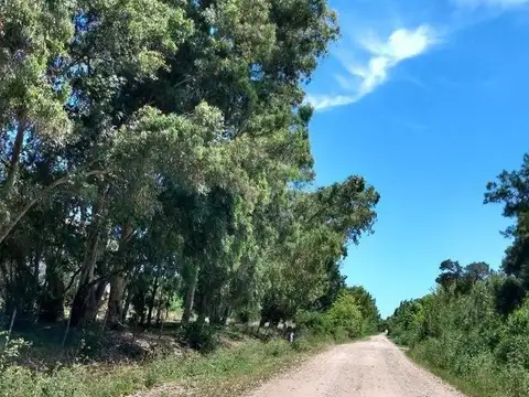 Montevideo  - Berisso