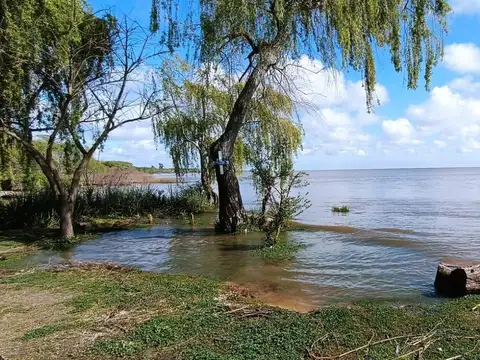 Campo en venta Berisso   Rio de La Plata   33 Hectareas