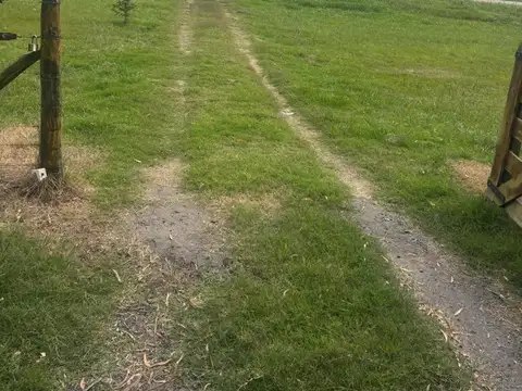 CAMPO EN ALQUILER, GRAL. RODRÍGUEZ