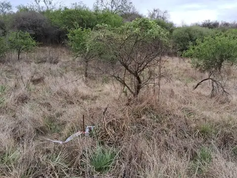 venta lote manzano sierras chicas