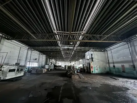 Brasil  al 1900 - Tortuguitas