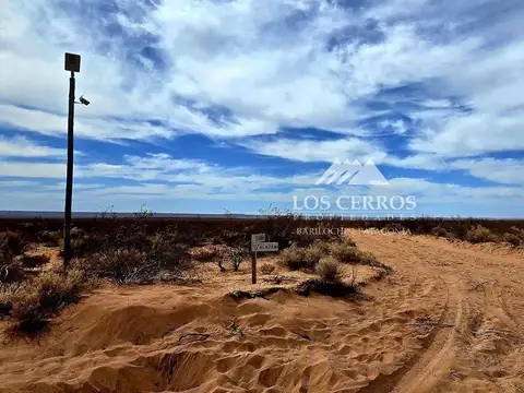 Fincas Vaca Muerta, Senillosa Norte