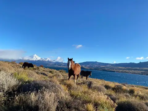 Terreno en Huechulafquen