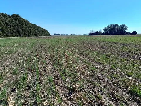 Campo en Venta de 5  ha