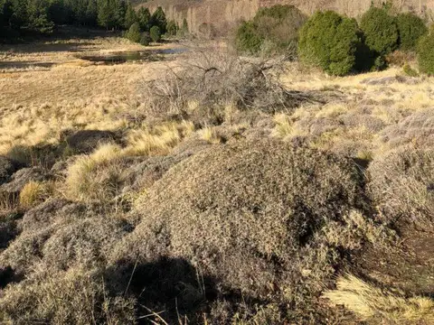 Casa en Venta - San Martin de los Andes