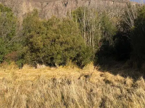 Los Faldeos de Chapelco