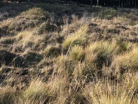 Casa en Venta 5 años