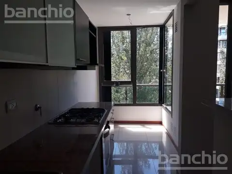Departamento en Alquiler de 1 dormitorio