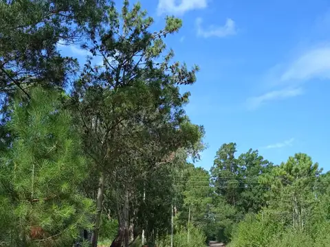 Terreno en Venta en Las Gaviotas, USD 42.000