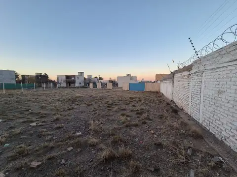 Chuquisaca 1000