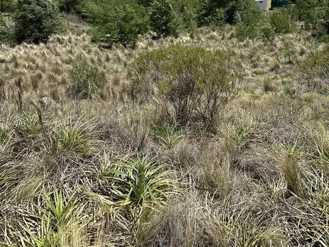 Terreno en Venta de 898,0 m2