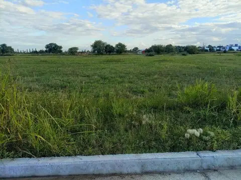 Terreno en Venta de 250,0 m2