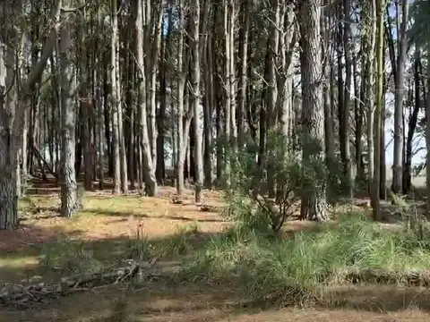 Terreno en Venta de 1063,0 m2