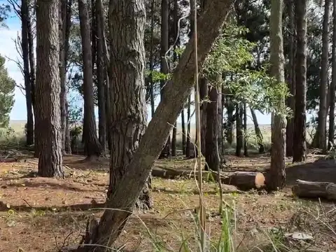 Venta Lote 1.063 m² en Barrio Privado Los Senderos III – Costa Esmeralda