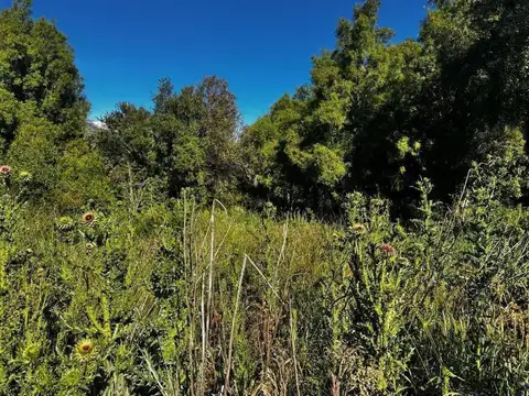 Terreno en Venta de 1805,0 m2