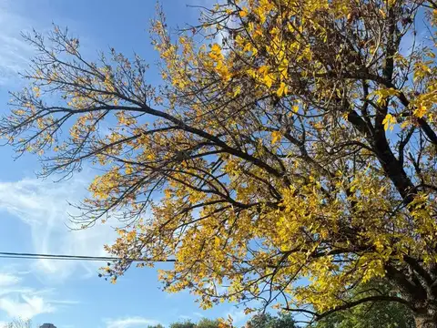 Terreno en Venta en Reconquista, USD 17.000