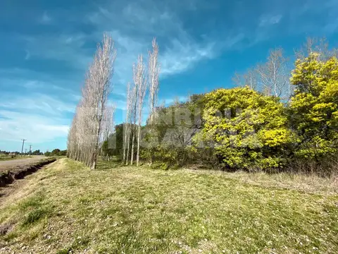 Campo en Venta Chacra