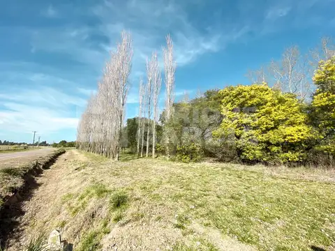 Ruta Provincial 41 Km 22 Estancia Benquerencia