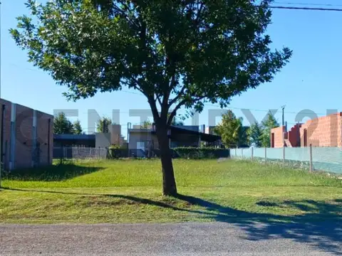 Av. Logaritmo , Piso Lote 97