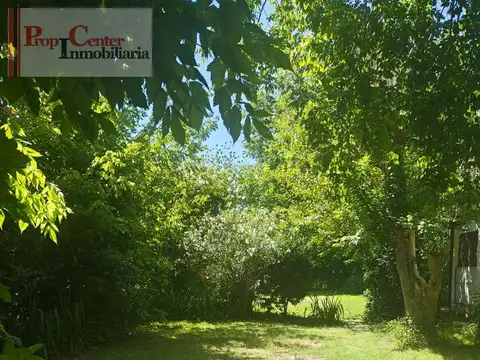 EL PARAISO  al 700