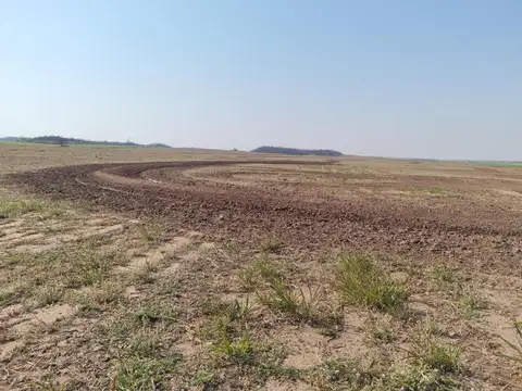 Tucumán Ruta Provincial 336