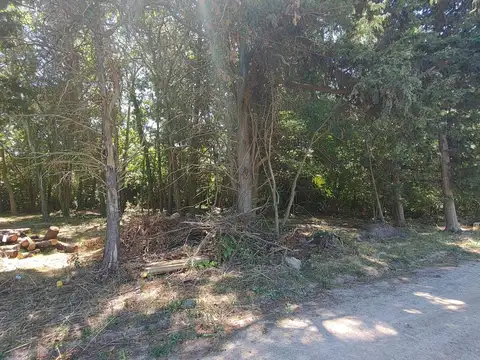 Terreno en Venta de 1200,0 m2