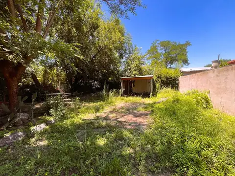 Terreno en Venta 31  mts Fondo