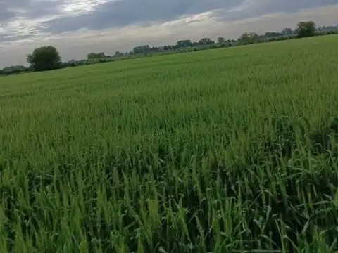 Navarro y Paraná , Piso No definido