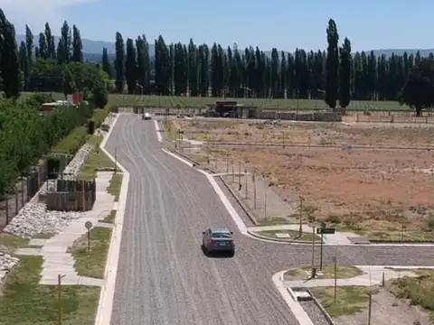 Venta Lotes Barrio Privado Gualtallary Tupungato