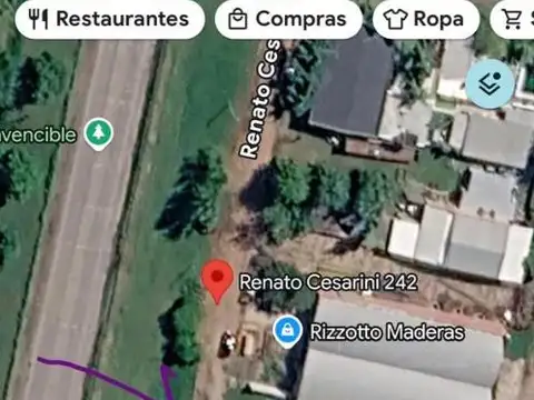 Renato Cesarini 200