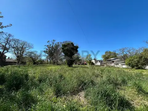 Terreno en Venta 43  mts Frente