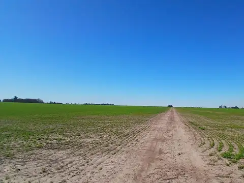 VENTA – Campo mixto de 201.5 hectáreas-  Santa Teresa, Santa Fe.