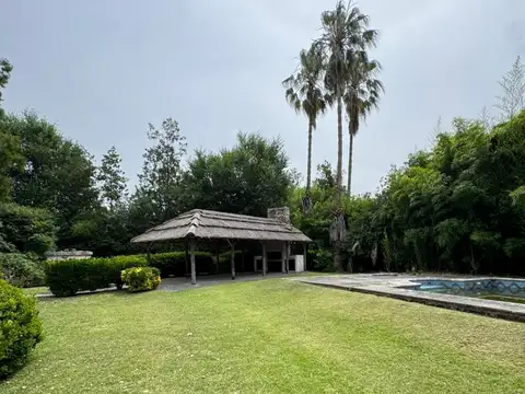 Cielito de la Patria 200