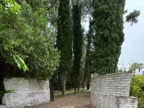 Cielito de la Patria 200