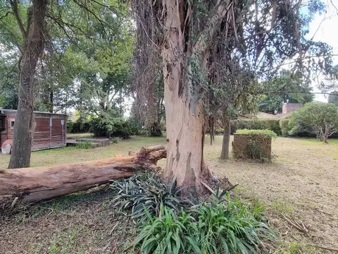 Casa en Alquiler al Noroeste