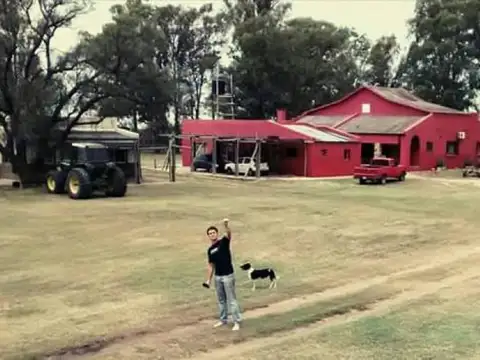 Casa Campo  en Venta en Ranqueles, General Roca, Córdoba - BLA6158_LP573646_5