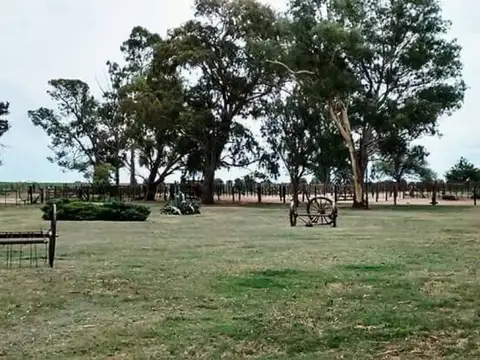 Casa Campo  en Venta en Ranqueles, General Roca, Córdoba - BLA6158_LP573646_5