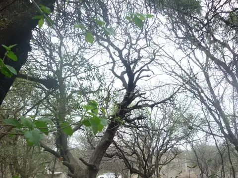 Terreno en Venta de 2120,0 m2