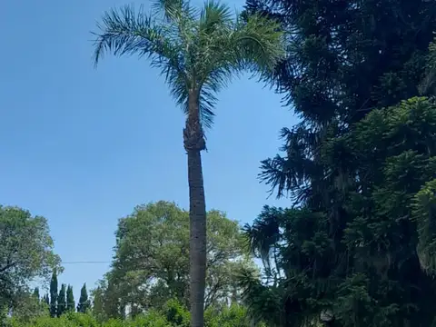 Sarmiento 100