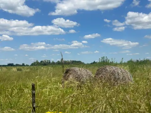 Campo en Venta Chacra
