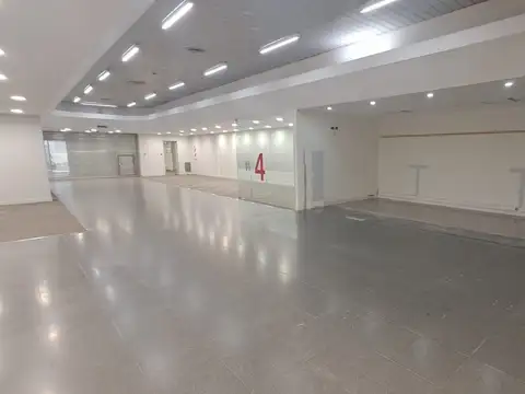 montiel 100