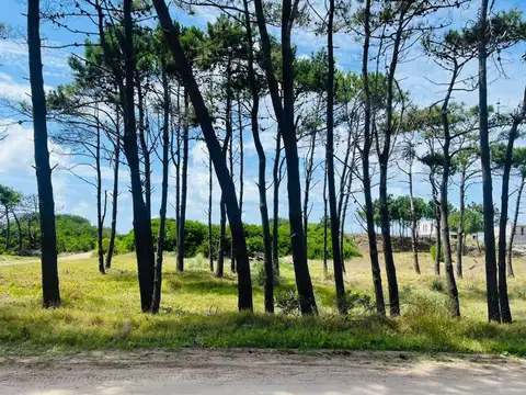 VILLA ROBLES BRISAS 100