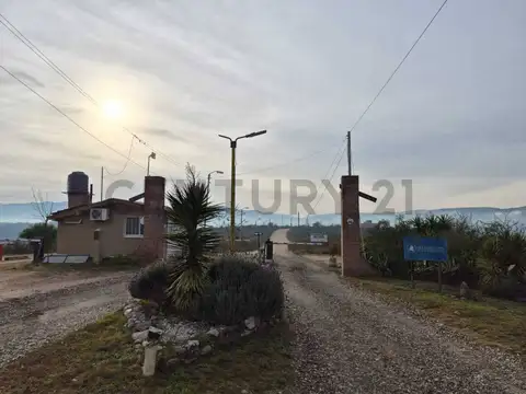 publica 310363000