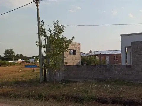Ruta 11