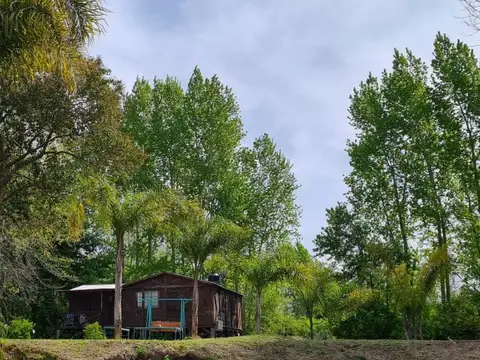 Rio o Arroyo Felicaria Isola Bella 100