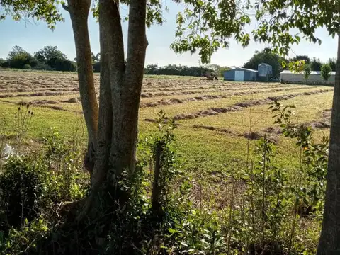 Terreno en venta - 13.63 x 33.73mts - 432 mts2 - Arturo Seguí