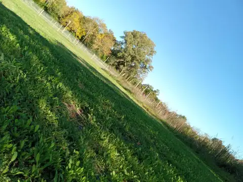 Terreno en Venta de 432,0 m2